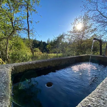 Tatil Evi Klause Neureichenau