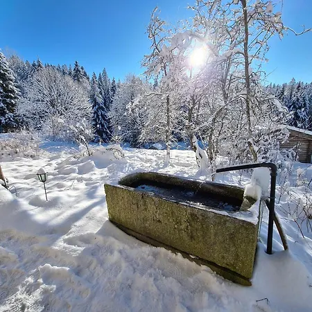Klause Neureichenau