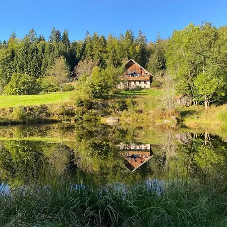 Klause Dom wakacyjny Neureichenau